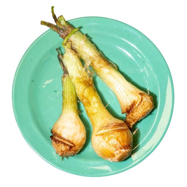 Fried Green Onions (3).