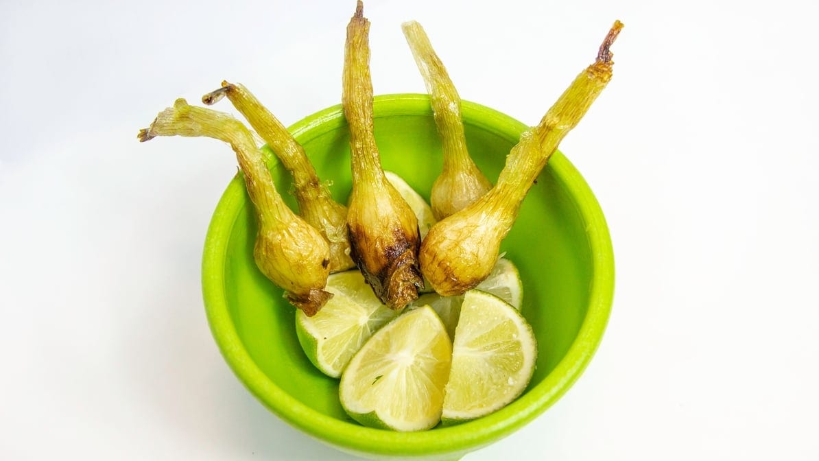 Fried Green Onions (3).